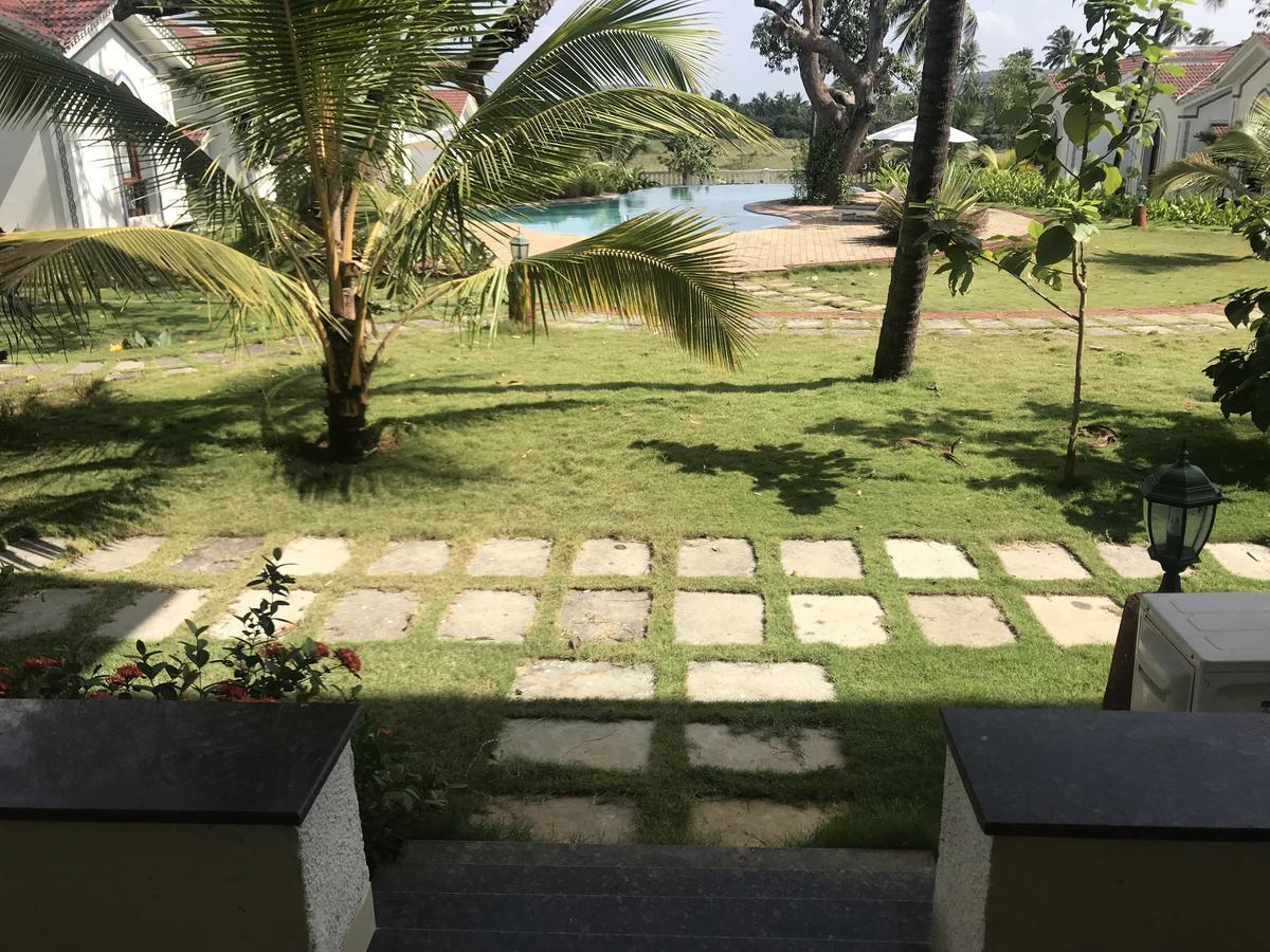 Studio And One Bedroom Apartment In Riviera Sapphire, Siolim Exterior foto